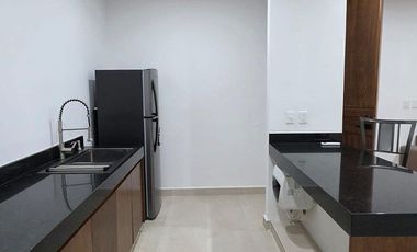DEPARTAMENTO AMUEBLADO EN COLONIA MEXICO UNA RECAMARA