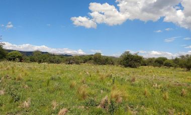 Cabañas alquiler Panaholma gran terreno y piscina
