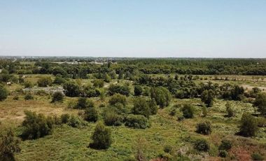 LOTE EN VENTA BARRIO SAN PEDRO- BENAVIDEZ