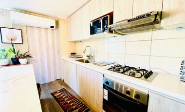 Departamento Moderno Y Remodelado