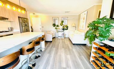 Departamento Moderno Y Remodelado