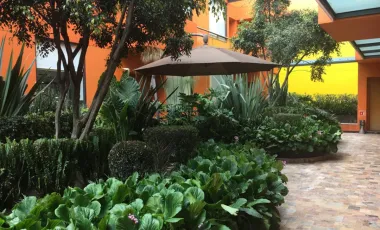 Departamento en renta en Lomas de Memetla, Cuajimalpa de Morelos, Ciudad de México