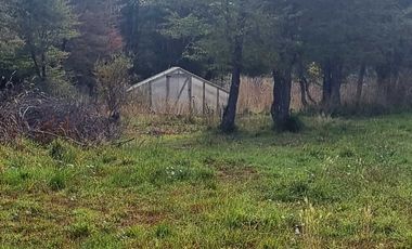 Casa en arriendo  en COYHAIQUE