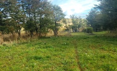 Casa en arriendo  en COYHAIQUE