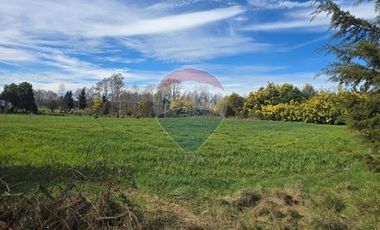 Oasis en Loncoche: Espacio y Serenidad