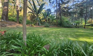 Bonita cabaña en venta en zona de bosque de mazamitla jalisco