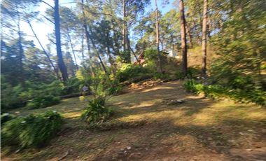 Bonita cabaña en venta en zona de bosque de mazamitla jalisco