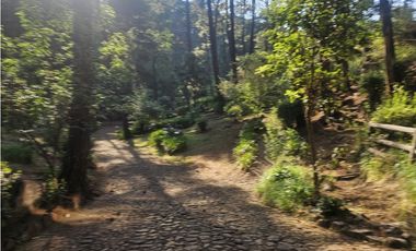 Bonita cabaña en venta en zona de bosque de mazamitla jalisco