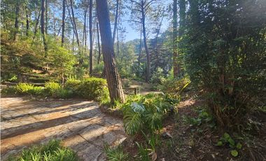 Bonita cabaña en venta en zona de bosque de mazamitla jalisco