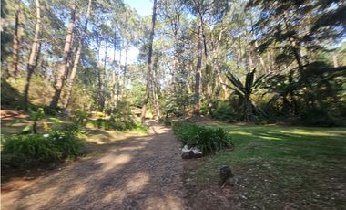 Bonita cabaña en venta en zona de bosque de mazamitla jalisco