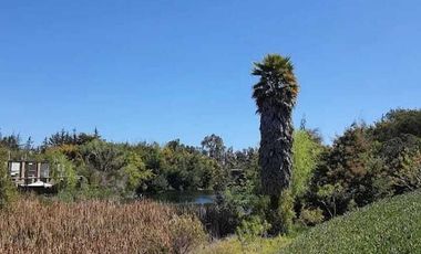 Venta Departamento en Algarrobo