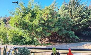 Venta Departamento en Algarrobo