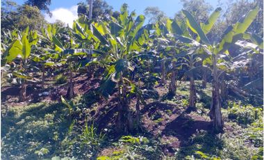 SE VENDE 6 LOTES RUSTICOS EN ZONA TURISTICA, YURIMAGUAS, LORETO
