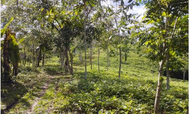 SE VENDE 6 LOTES RUSTICOS EN ZONA TURISTICA, YURIMAGUAS, LORETO