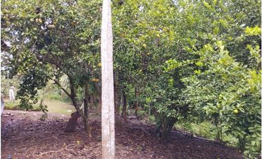 SE VENDE 6 LOTES RUSTICOS EN ZONA TURISTICA, YURIMAGUAS, LORETO