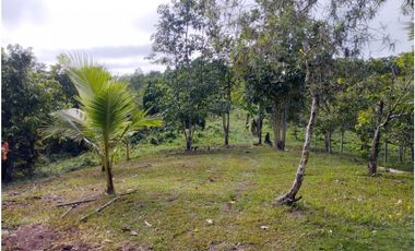 SE VENDE 6 LOTES RUSTICOS EN ZONA TURISTICA, YURIMAGUAS, LORETO