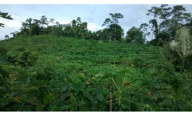 SE VENDE 6 LOTES RUSTICOS EN ZONA TURISTICA, YURIMAGUAS, LORETO