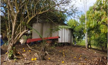 SE VENDE 6 LOTES RUSTICOS EN ZONA TURISTICA, YURIMAGUAS, LORETO