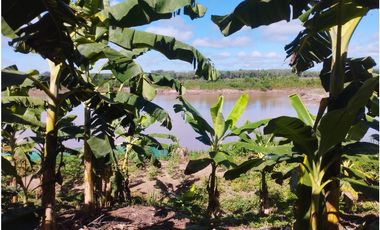 SE VENDE 6 LOTES RUSTICOS EN ZONA TURISTICA, YURIMAGUAS, LORETO