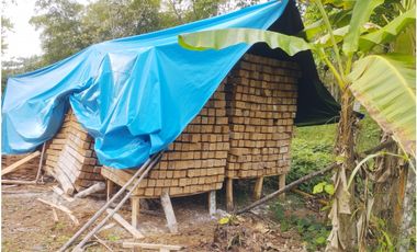 SE VENDE 6 LOTES RUSTICOS EN ZONA TURISTICA, YURIMAGUAS, LORETO