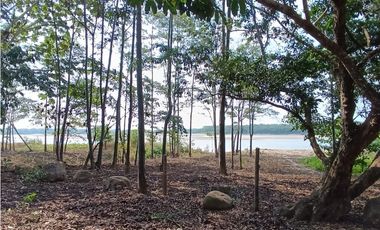 SE VENDE TERRENO PARA CASA DE CAMPO EN, PELEJO, PORVENIR, SAN MARTIN