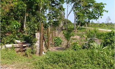 SE VENDE TERRENO PARA CASA DE CAMPO EN, PELEJO, PORVENIR, SAN MARTIN