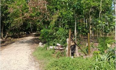 SE VENDE TERRENO PARA CASA DE CAMPO EN, PELEJO, PORVENIR, SAN MARTIN