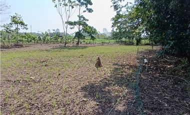 SE VENDE TERRENO PARA CASA DE CAMPO EN, PELEJO, PORVENIR, SAN MARTIN