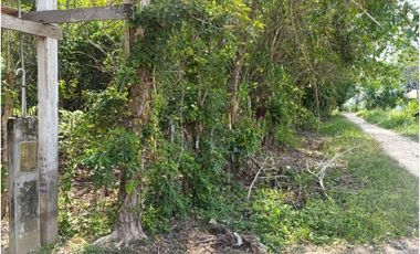 SE VENDE TERRENO PARA CASA DE CAMPO EN, PELEJO, PORVENIR, SAN MARTIN