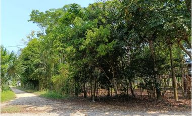 SE VENDE TERRENO PARA CASA DE CAMPO EN, PELEJO, PORVENIR, SAN MARTIN