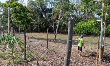 SE VENDE TERRENO PARA CASA DE CAMPO EN, PELEJO, PORVENIR, SAN MARTIN