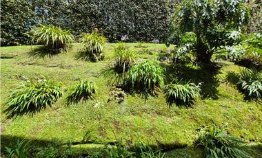 VENTA DE CASA CAMPESTRE EN ALTOS DEL ESCOBERO ENVIGADO