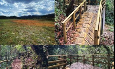 EN VENTA – LOTE CAMPESTRE EN ALTO DE LAS PALMAS 