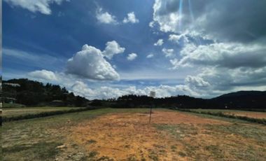 EN VENTA – LOTE CAMPESTRE EN ALTO DE LAS PALMAS 