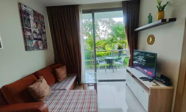 Luxury 1BR for Rent/Sale at The Riviera Wongamat  | Pool View