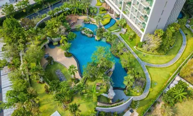 Luxury 1BR for Rent/Sale at The Riviera Wongamat  | Pool View