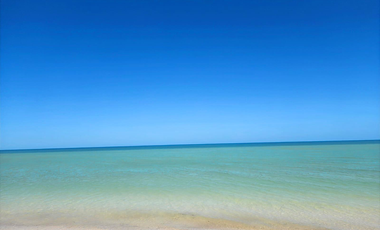 Departamento frente al mar, San Benito Yucatán.