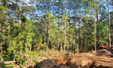 Bonito terreno en zona de bosque con materiales de construccion