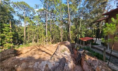 Bonito terreno en zona de bosque con materiales de construccion