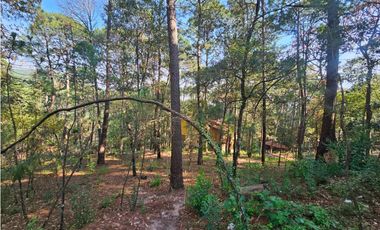 Bonito terreno en zona de bosque con materiales de construccion