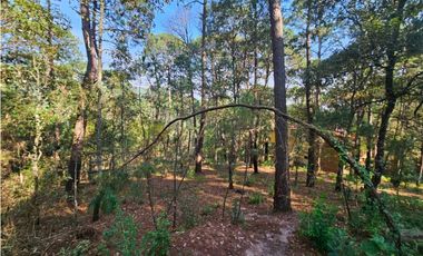 Bonito terreno en zona de bosque con materiales de construccion