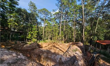 Bonito terreno en zona de bosque con materiales de construccion