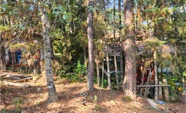 Bonito terreno en zona de bosque con materiales de construccion