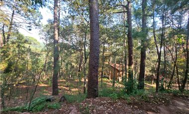 Bonito terreno en zona de bosque con materiales de construccion