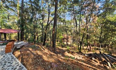 Bonito terreno en zona de bosque con materiales de construccion