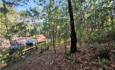 Bonito terreno en zona de bosque con materiales de construccion