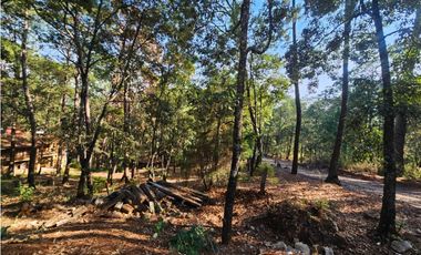 Bonito terreno en zona de bosque con materiales de construccion
