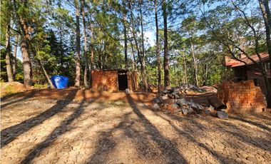 Bonito terreno en zona de bosque con materiales de construccion