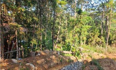 Bonito terreno en zona de bosque con materiales de construccion