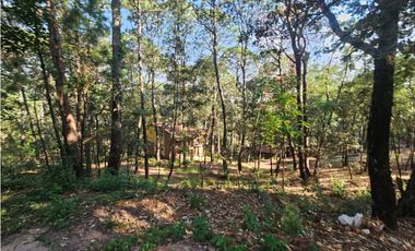 Bonito terreno en zona de bosque con materiales de construccion